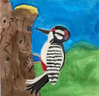 woodpecker owen l